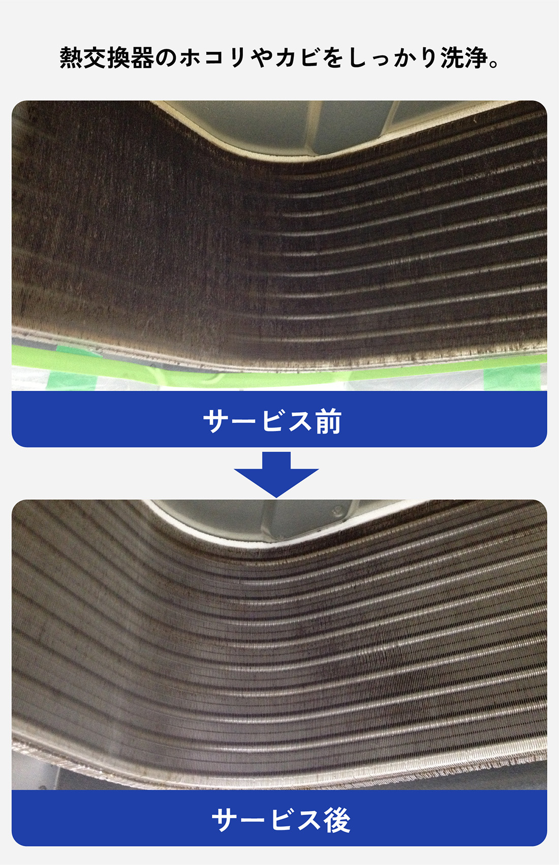 熱交換器のホコリやカビをしっかり洗浄